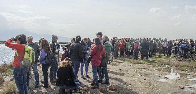 Flamingoların dansını merakla izlediler