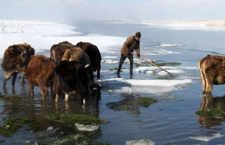 Göldeki buzları kırıp hayvanları besliyorlar