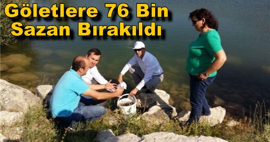 Göletlere 76 Bin Sazan Bırakıldı