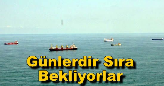 Günlerdir Sıra Bekliyorlar