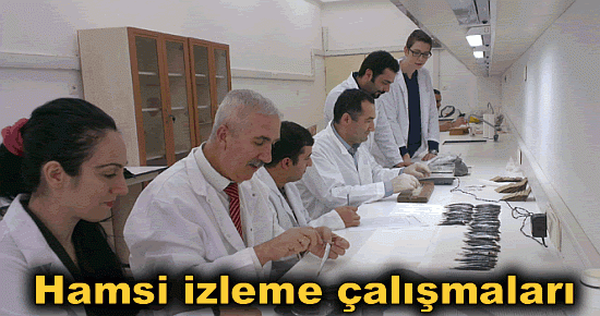 Hamsi izleme çalışmaları