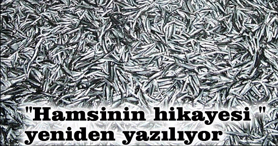 ?Hamsinin hikayesi'' yeniden yazılıyor