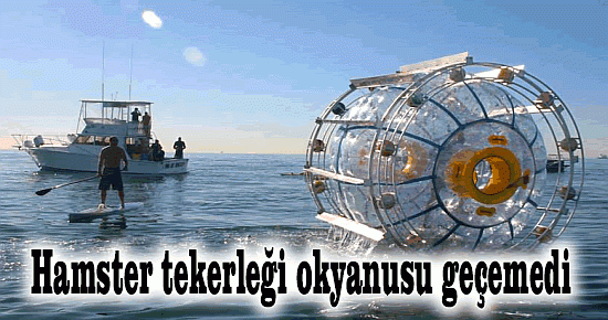 Hamster tekerleği okyanusu geçemedi