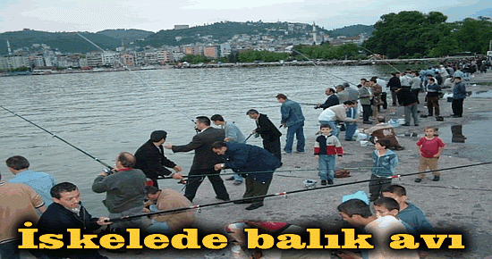 İskelede balık avı