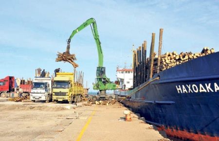 Kardan ormana giremeyince odunu Ukrayna'dan ithal ettiler