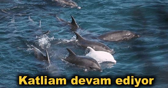 Katliam devam ediyor