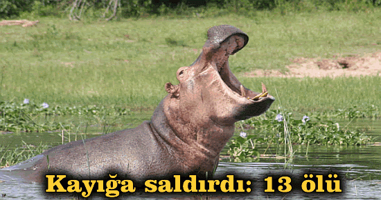 Kayığa saldırdı: 13 ölü