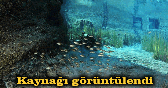 Kaynağı görüntülendi