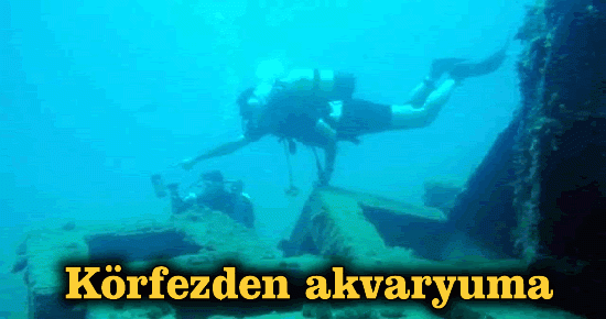 Körfezden akvayuma 