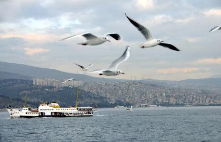 Körfez'in Gizlisi Saklısı Kalmayacak