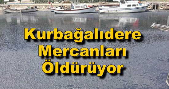 Kurbağalıdere Mercanları Öldürüyor