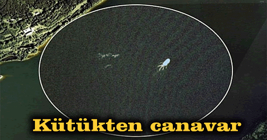 Kütükten canavar