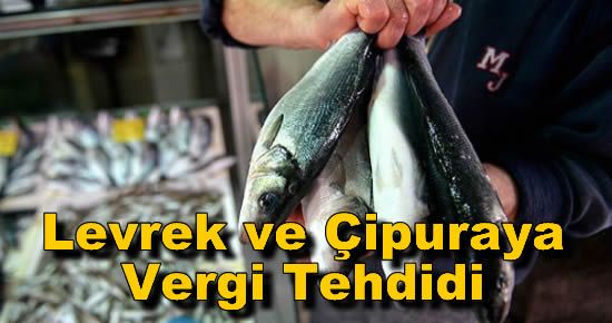 Levrek ve Çipuraya Vergi Tehdidi