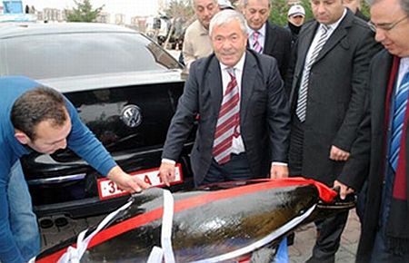 Makam aracıyla gelen yunus