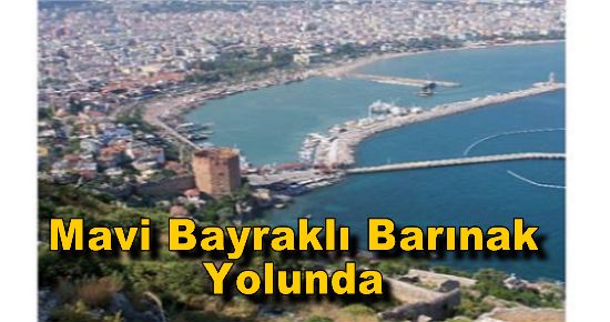 Mavi Bayraklı Barınak Yolunda