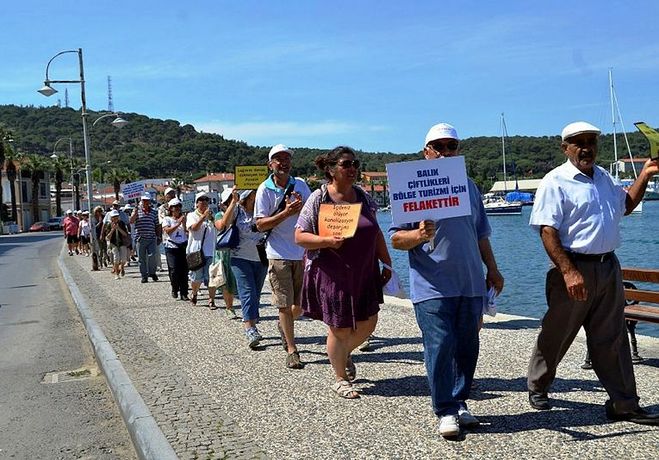 Mavi bayraklı plajdan balık çiftlikleri kalktı