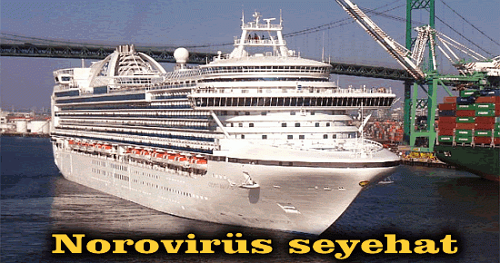 Norovirüs seyehat