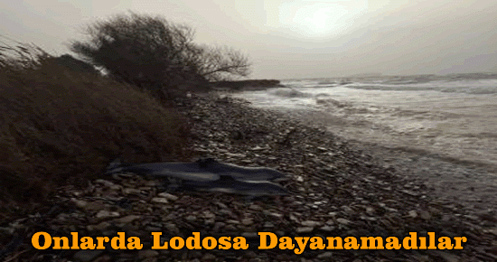 Onlarda Lodosa Dayanamadı