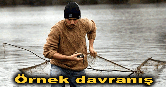 Örnek davranış