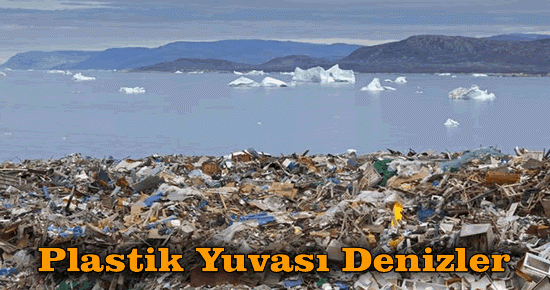 Plastik Yuvası Denizler