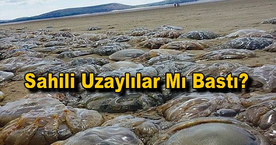 Sahili Uzaylılar Mı Bastı?