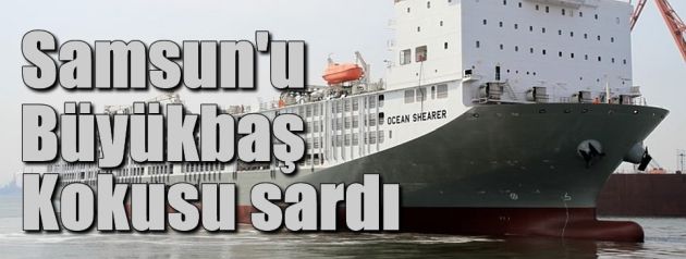 Samsun'u büyükbaş kokusu sardı