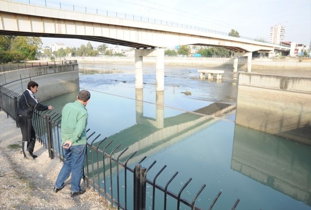 Seyhan Nehri'nde Balık Ölümleri