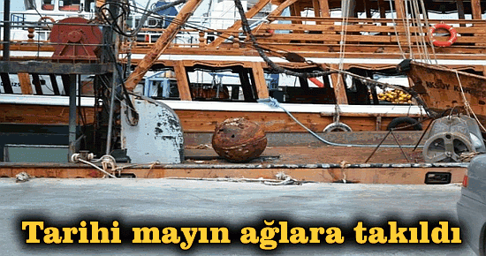 Tarihi mayın ağlara takıldı