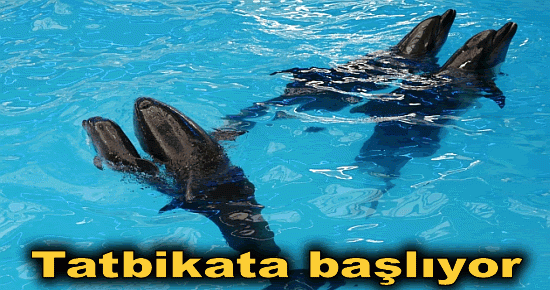 Tatbikata başlıyor