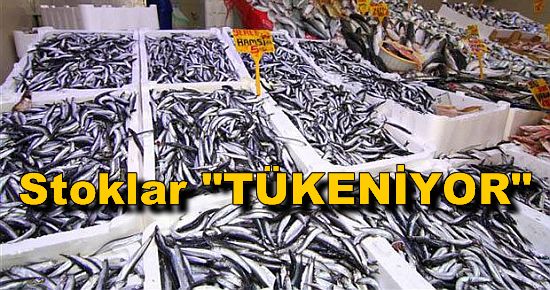 Türkiye'nin Balık Stokları "Tükeniyor"