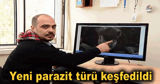 Yeni parazit türü keşfedildi