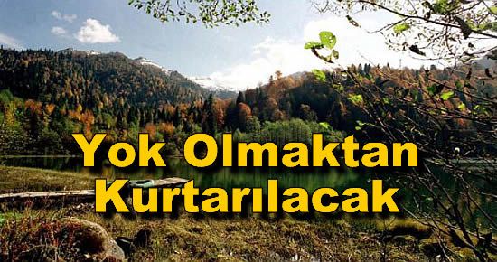 Yok Olmaktan Kurtarılacak