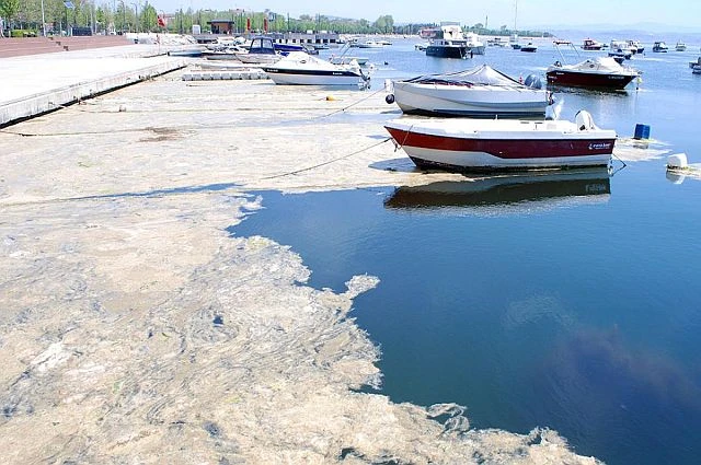 Marmara Denizi ile İstanbul Boğazındaki Deniz Kirliliği ve Müsilaj tehlikesi