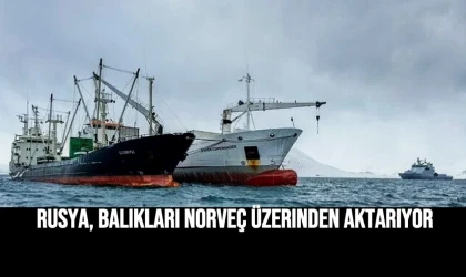 Rusya, Balıkları Norveç Üzerinden Aktarıyor