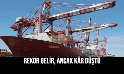 Rekor Gelir, Ancak Kâr Düştü